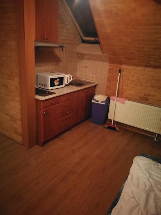 Villa Barrandovska 布拉格 外观 照片