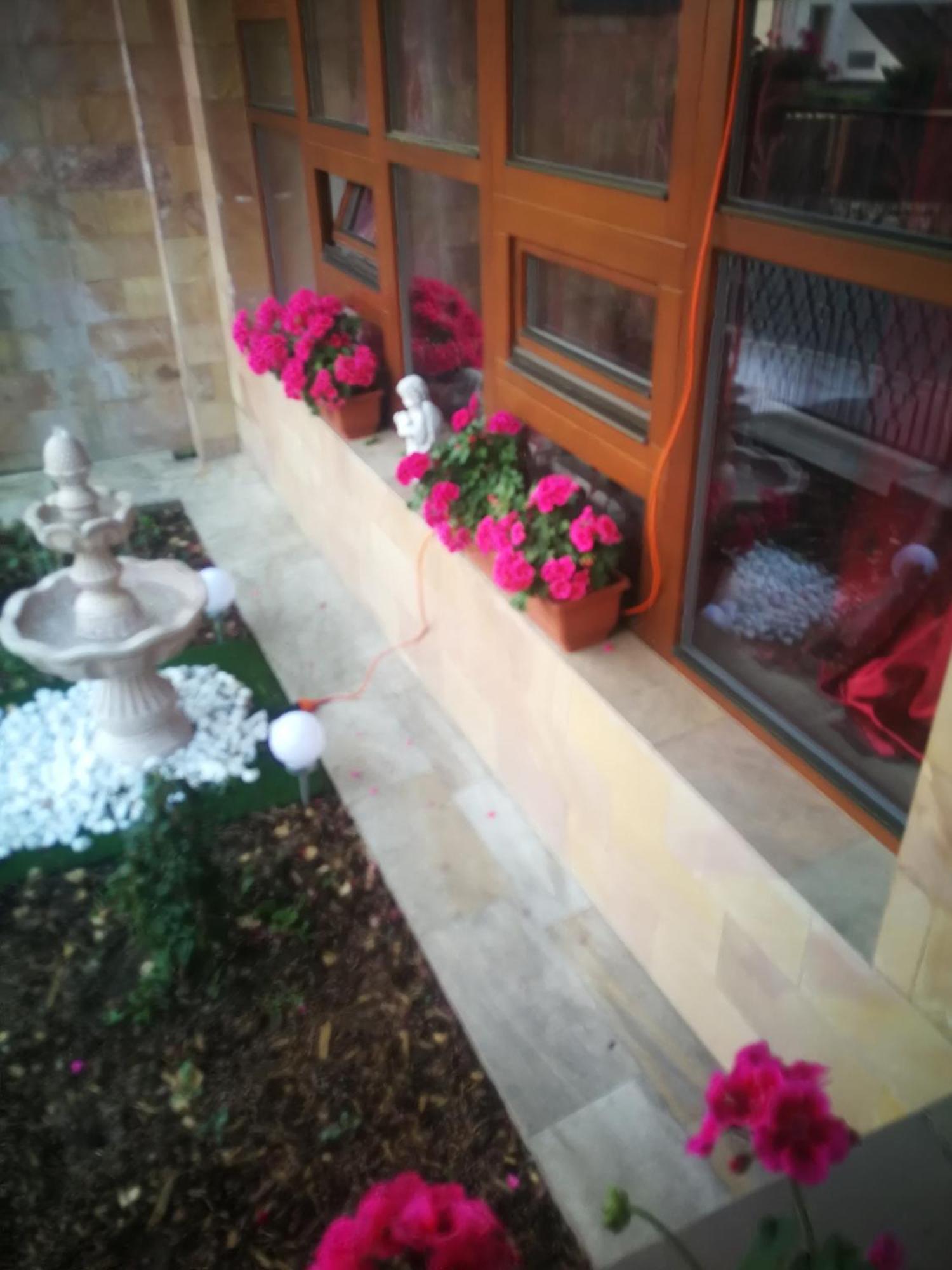 Villa Barrandovska 布拉格 外观 照片