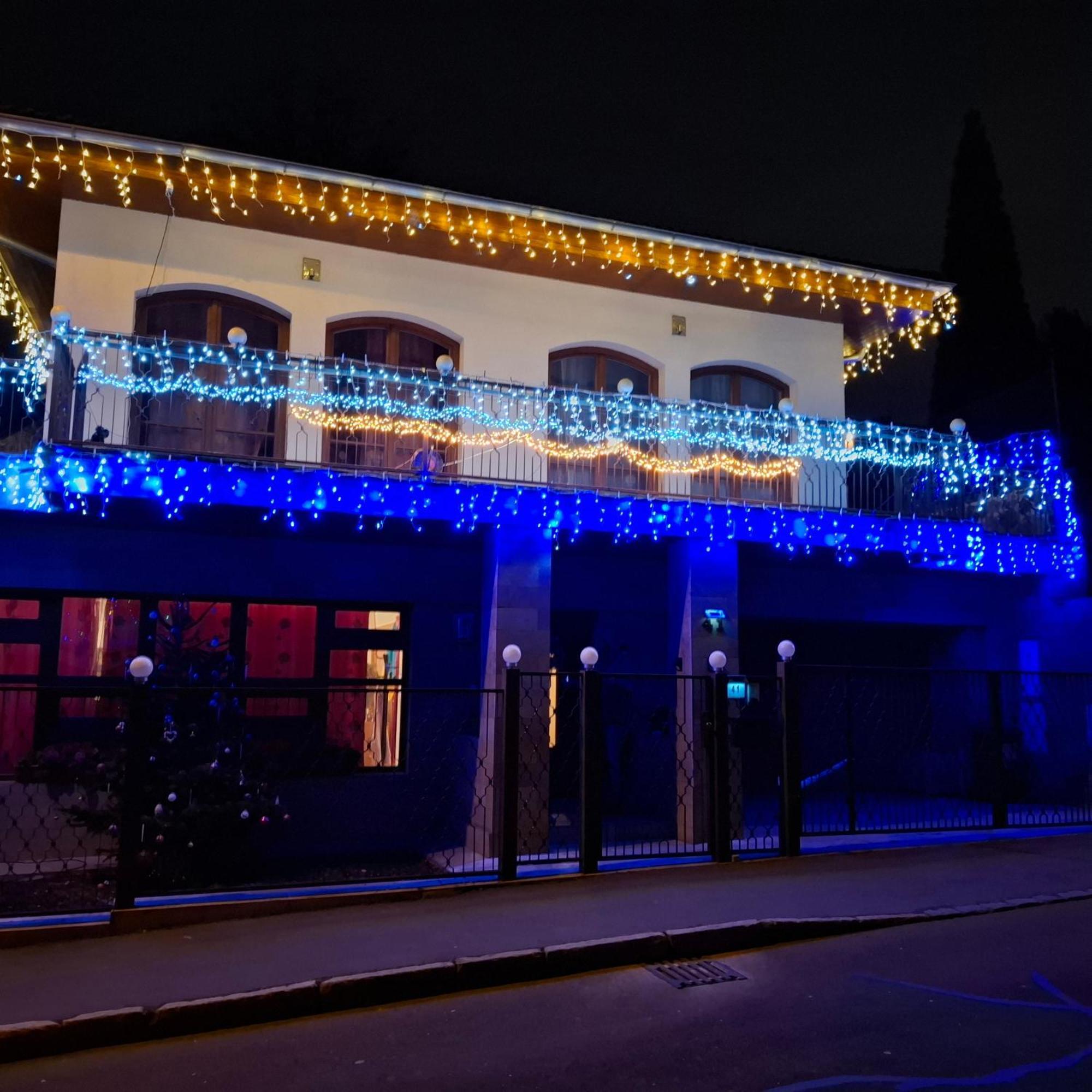 Villa Barrandovska 布拉格 外观 照片